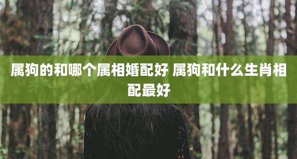 属狗的和哪个属相婚配好 属狗和什么生肖相配最好