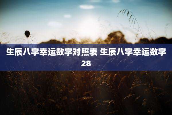 生辰八字幸运数字对照表 生辰八字幸运数字28