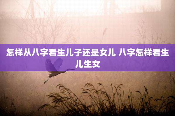 怎样从八字看生儿子还是女儿 八字怎样看生儿生女