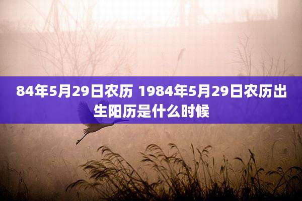 84年5月29日农历 1984年5月29日农历出生阳历是什么时候
