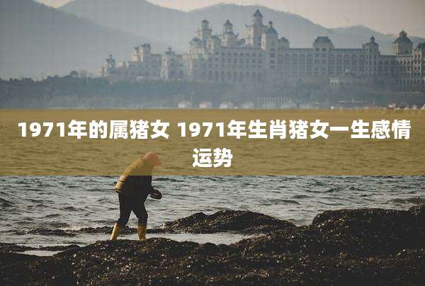1971年的属猪女 1971年生肖猪女一生感情运势