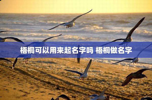 梧桐可以用来起名字吗 梧桐做名字