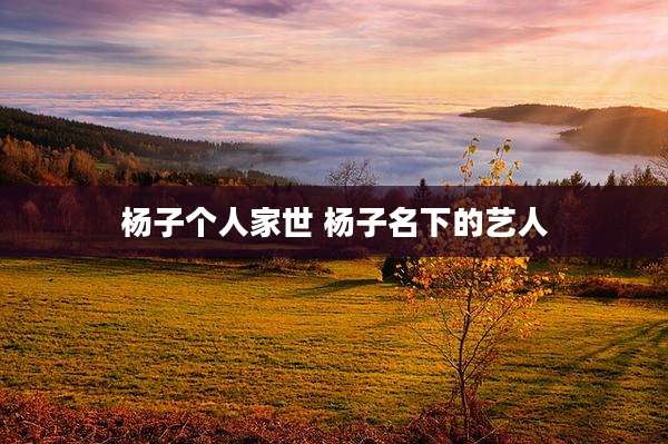 杨子个人家世 杨子名下的艺人