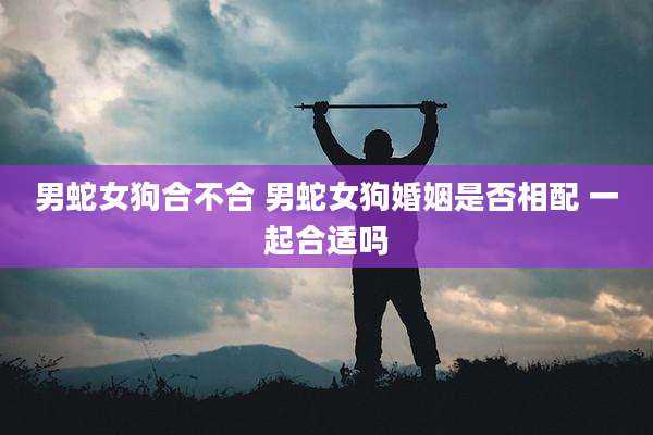 男蛇女狗合不合 男蛇女狗婚姻是否相配 一起合适吗