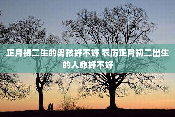 正月初二生的男孩好不好 农历正月初二出生的人命好不好