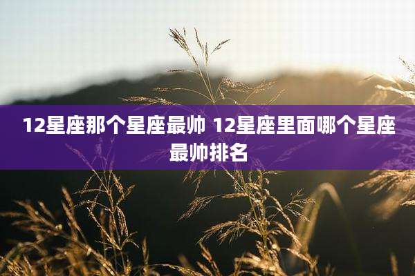 12星座那个星座最帅 12星座里面哪个星座最帅排名