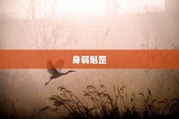 身弱魁罡