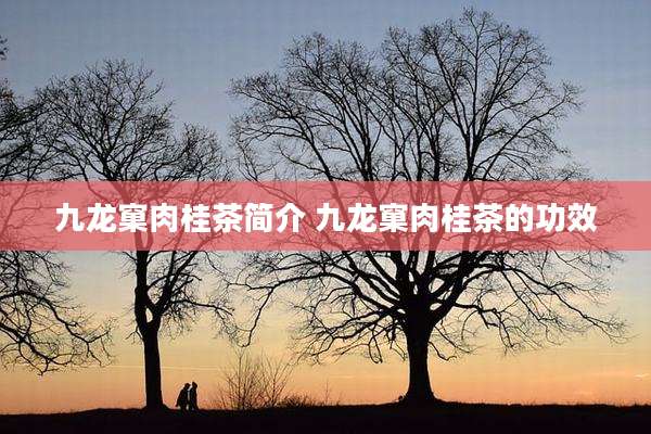 九龙窠肉桂茶简介 九龙窠肉桂茶的功效