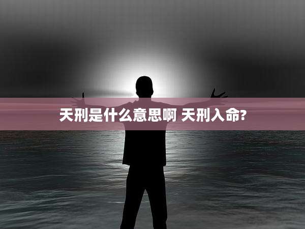天刑是什么意思啊 天刑入命?