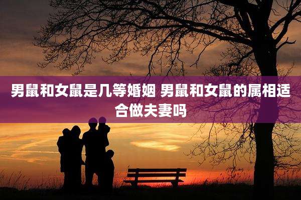 男鼠和女鼠是几等婚姻 男鼠和女鼠的属相适合做夫妻吗