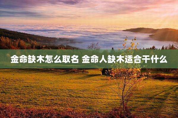 金命缺木怎么取名 金命人缺木适合干什么