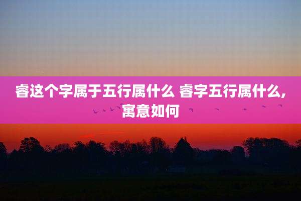 睿这个字属于五行属什么 睿字五行属什么,寓意如何