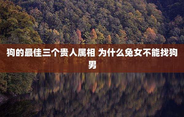 狗的最佳三个贵人属相 为什么兔女不能找狗男