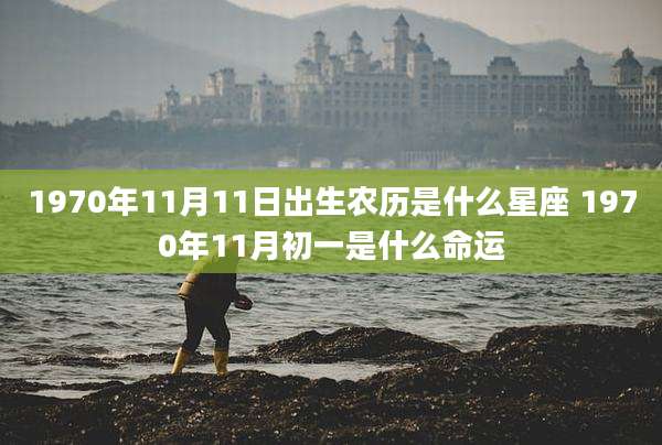 1970年11月11日出生农历是什么星座 1970年11月初一是什么命运