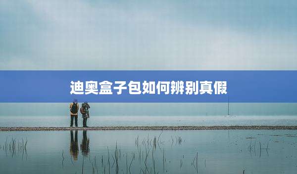 迪奥盒子包如何辨别真假