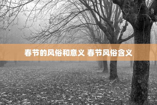 春节的风俗和意义 春节风俗含义