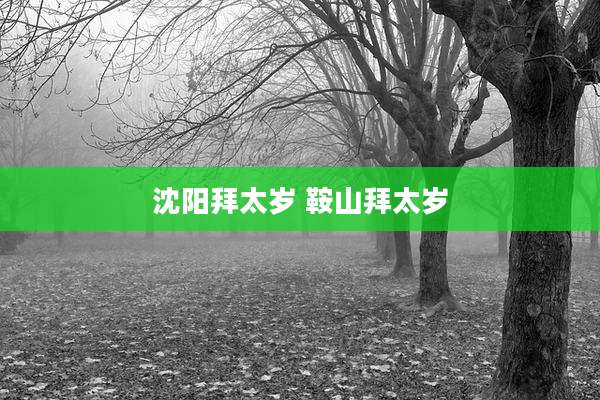 沈阳拜太岁 鞍山拜太岁