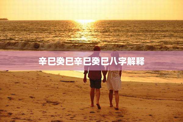 辛巳癸巳辛巳癸巳八字解释