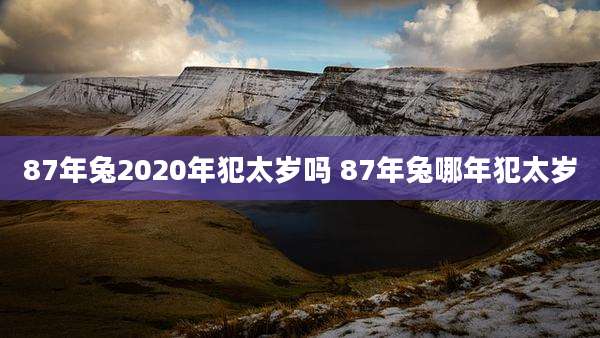 87年兔2020年犯太岁吗 87年兔哪年犯太岁