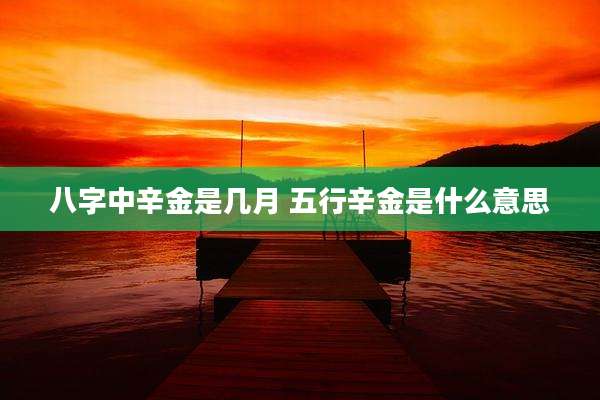 八字中辛金是几月 五行辛金是什么意思