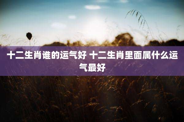 十二生肖谁的运气好 十二生肖里面属什么运气最好
