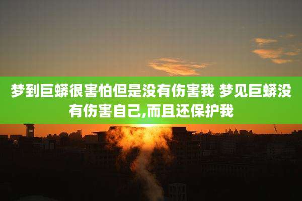 梦到巨蟒很害怕但是没有伤害我 梦见巨蟒没有伤害自己,而且还保护我