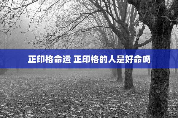 正印格命运 正印格的人是好命吗