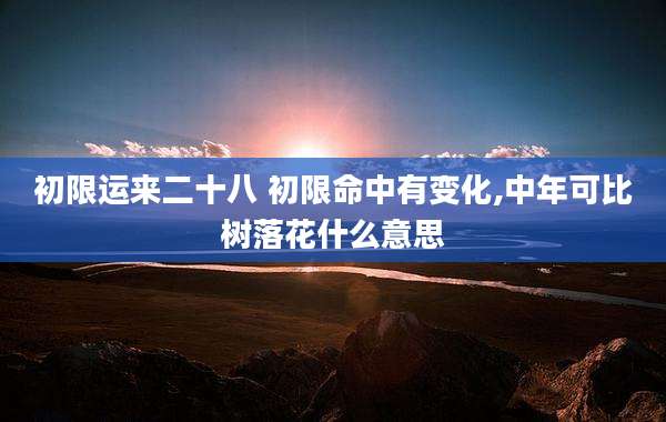 初限运来二十八 初限命中有变化,中年可比树落花什么意思
