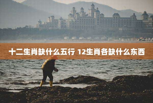 十二生肖缺什么五行 12生肖各缺什么东西