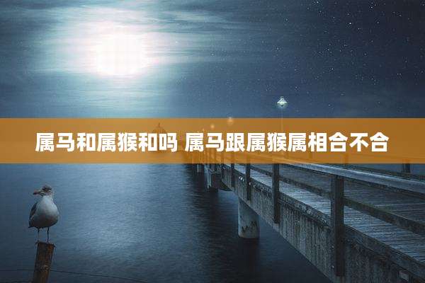 属马和属猴和吗 属马跟属猴属相合不合