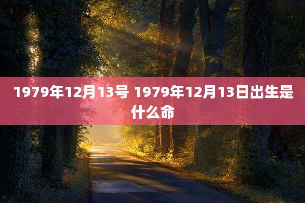 1979年12月13号 1979年12月13日出生是什么命