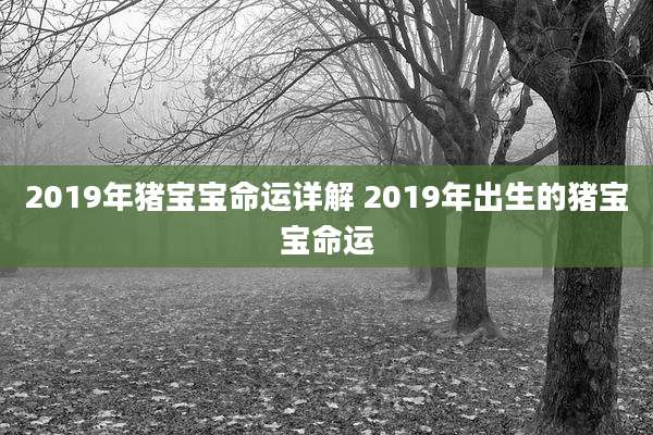 2019年猪宝宝命运详解 2019年出生的猪宝宝命运