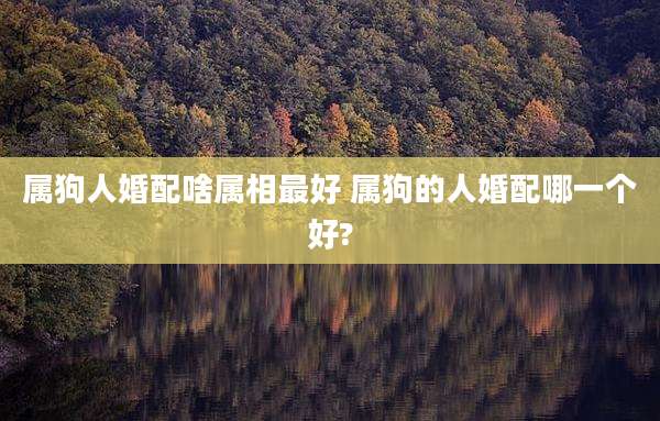 属狗人婚配啥属相最好 属狗的人婚配哪一个好?