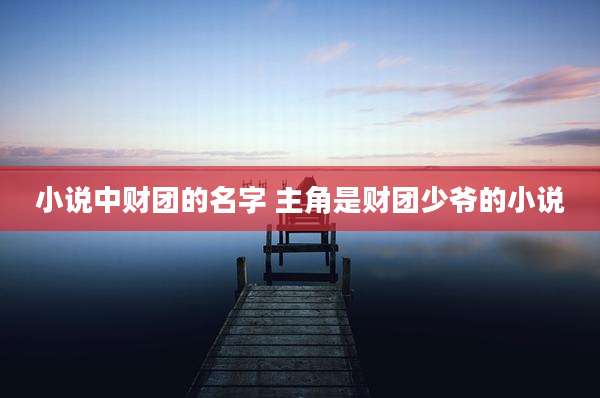 小说中财团的名字 主角是财团少爷的小说