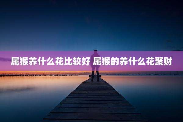 属猴养什么花比较好 属猴的养什么花聚财