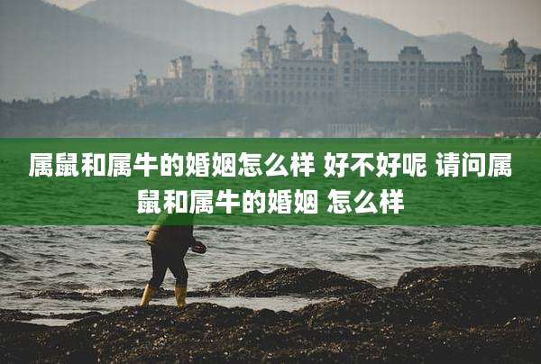 属鼠和属牛的婚姻怎么样 好不好呢 请问属鼠和属牛的婚姻 怎么样