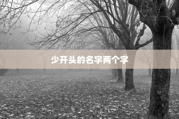 少开头的名字两个字
