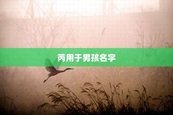 芮用于男孩名字
