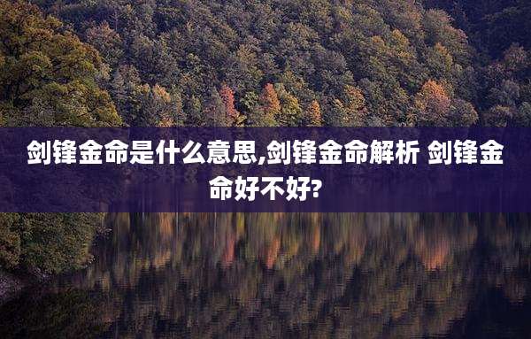 剑锋金命是什么意思,剑锋金命解析 剑锋金命好不好?
