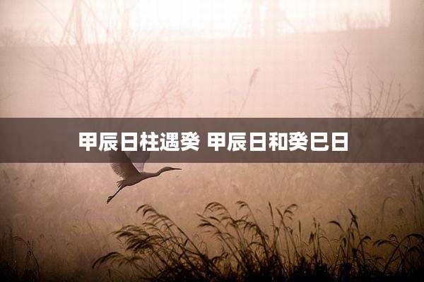 甲辰日柱遇癸 甲辰日和癸巳日