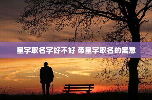 星字取名字好不好 带星字取名的寓意