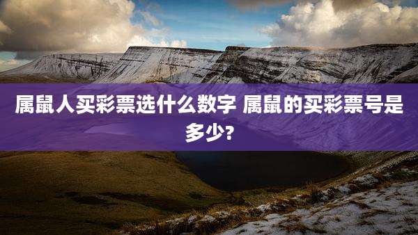 属鼠人买彩票选什么数字 属鼠的买彩票号是多少?