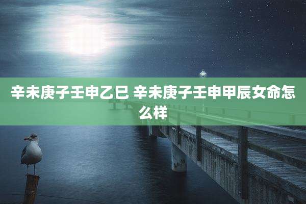 辛未庚子壬申乙巳 辛未庚子壬申甲辰女命怎么样