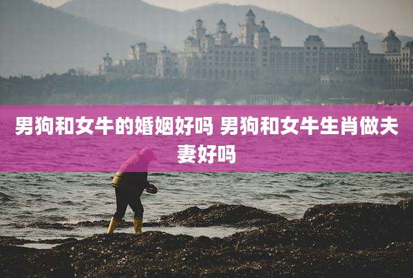 男狗和女牛的婚姻好吗 男狗和女牛生肖做夫妻好吗