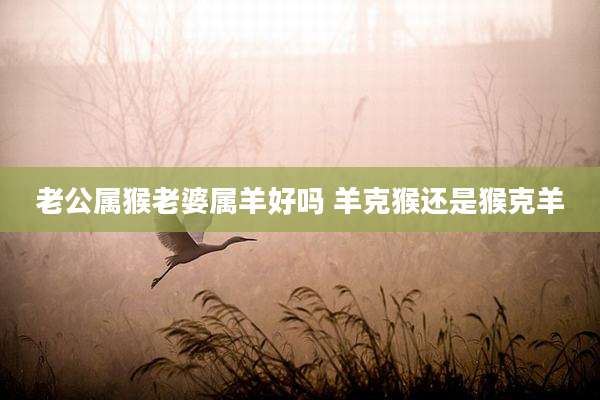 老公属猴老婆属羊好吗 羊克猴还是猴克羊