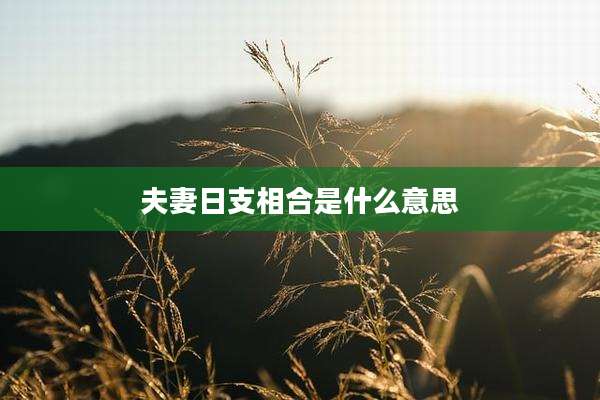 夫妻日支相合是什么意思