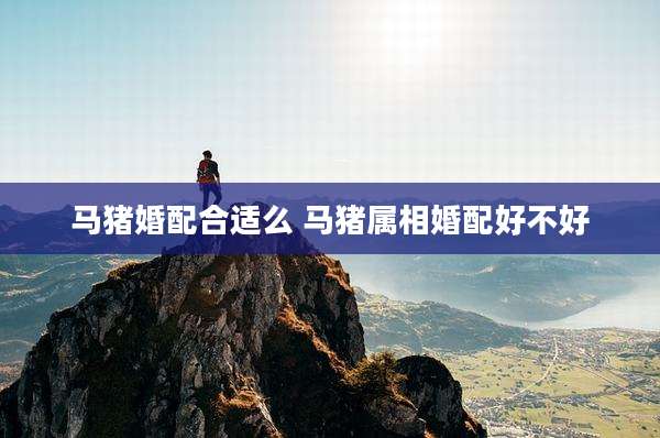 马猪婚配合适么 马猪属相婚配好不好
