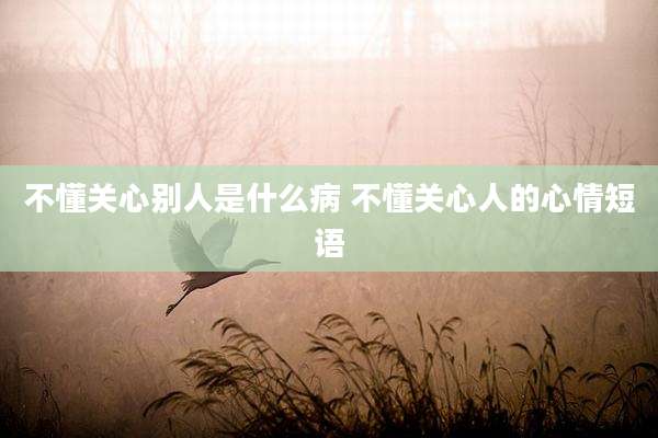 不懂关心别人是什么病 不懂关心人的心情短语