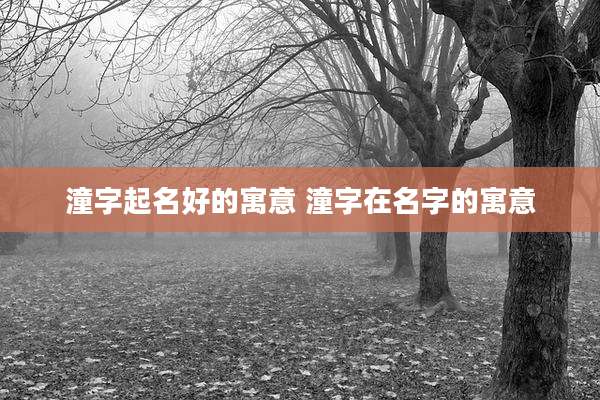 潼字起名好的寓意 潼字在名字的寓意