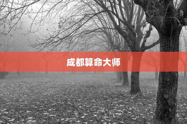 成都算命大师